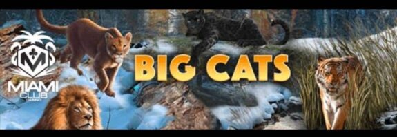 Claim 20 Free Spins For Big Cats Slot